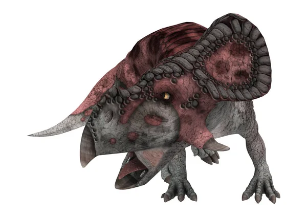 白の 3 d のレンダリング恐竜プロトケラトプス — ストック写真
