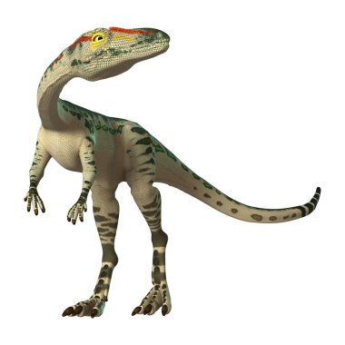 3D render dinozor Coelophysis beyaz