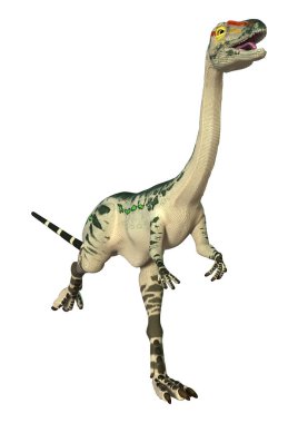 3D render dinozor Coelophysis beyaz