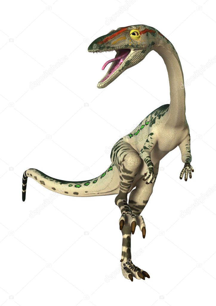 3D Rendering Dinosaur Coelophysis on White