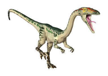 3D render dinozor Coelophysis beyaz