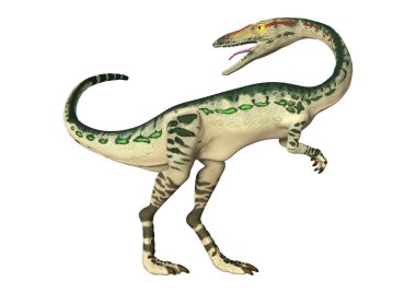 3D render dinozor Coelophysis beyaz