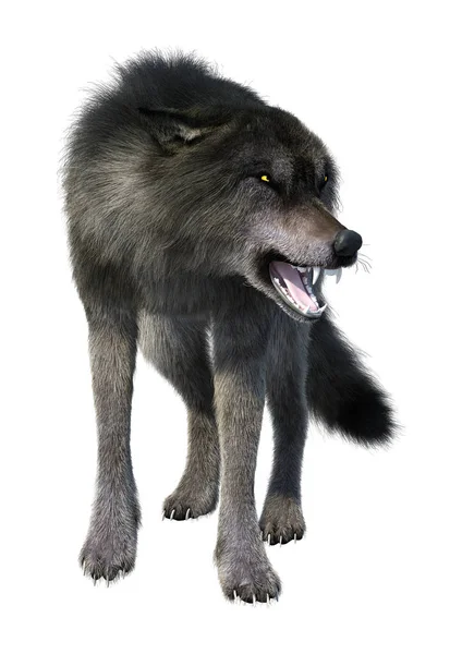 Beyaz üzerinde 3D render gri kurt