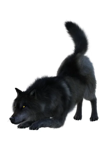 3D renderização lobo preto no branco — Fotografia de Stock