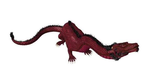 3D Rendering Eastern Dragon on White — Stock Photo, Image