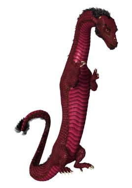 3D render Doğu Dragon beyaz