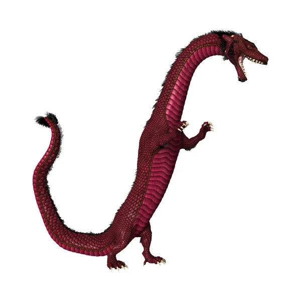 3D Rendering Eastern Dragon on White — Stock Photo, Image