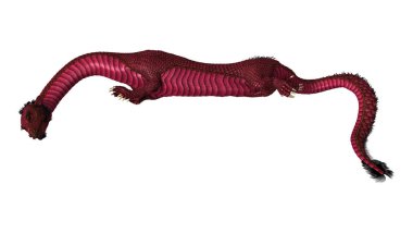 3D render Doğu Dragon beyaz
