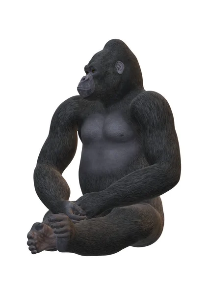 3D Rendering Gorilla su Bianco — Foto Stock