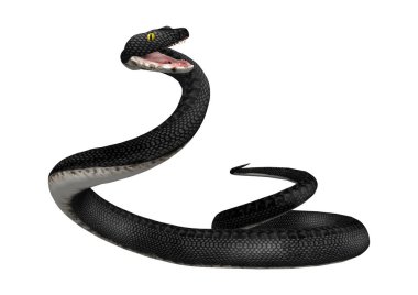 3D render Güney siyah yarışçı beyaz