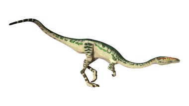 3D render dinozor Coelophysis beyaz