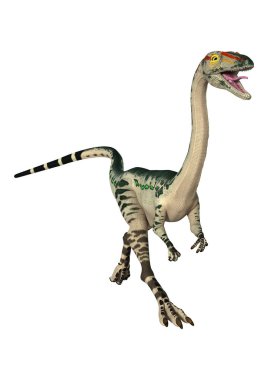 3D render dinozor Coelophysis beyaz