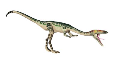 3D render dinozor Coelophysis beyaz