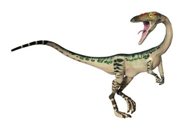 3D render dinozor Coelophysis beyaz
