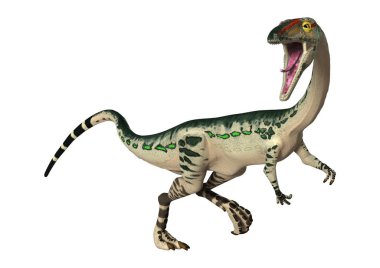 3D render dinozor Coelophysis beyaz