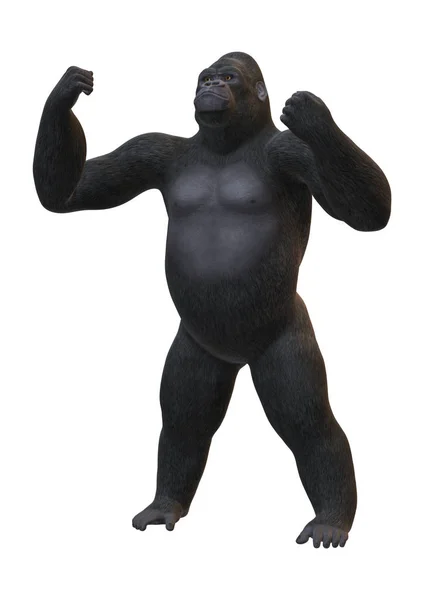 3D Rendering Gorilla บนสีขาว — ภาพถ่ายสต็อก