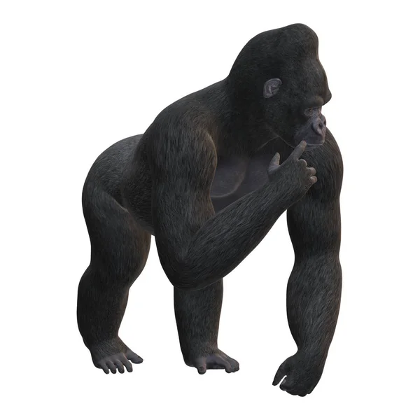 3D render Gorilla beyaz günü — Stok fotoğraf