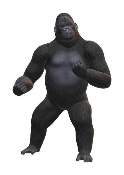 3D Rendering Gorilla auf Weiß — Stockfoto