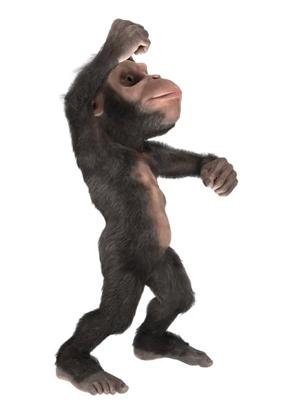 3D rendering λίγο χιμπατζή σε λευκό — Φωτογραφία Αρχείου