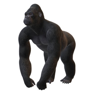 3D render Gorilla beyaz günü