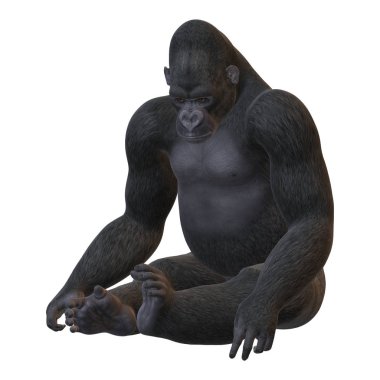 3D render Gorilla beyaz günü