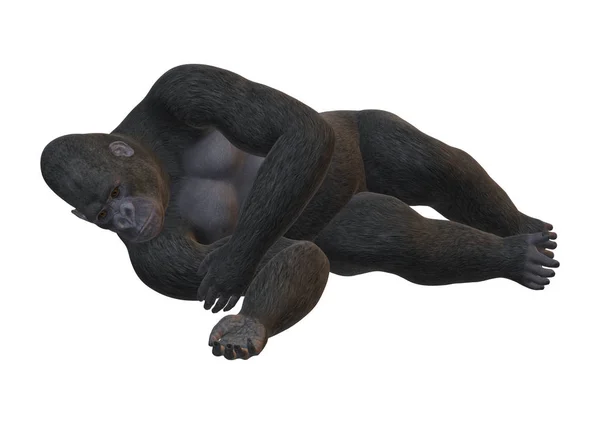 3D rendering Gorilla op wit — Stockfoto