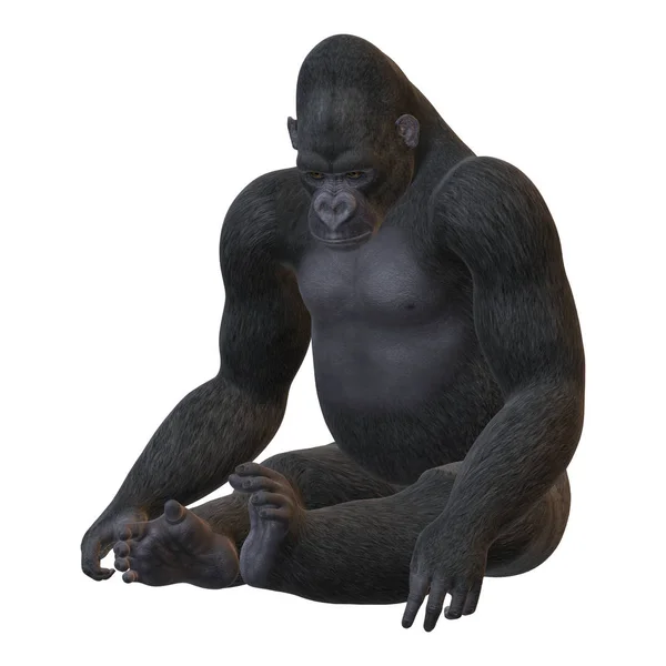 3D Rendering Gorilla su Bianco — Foto Stock