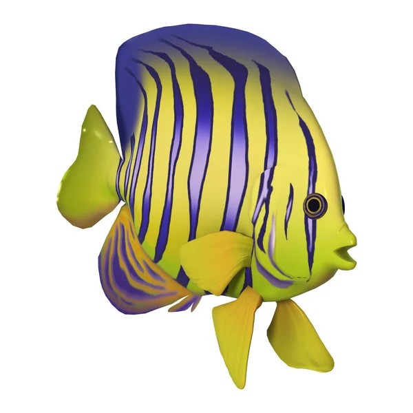 Rendering 3D Angelfish su Bianco — Foto Stock