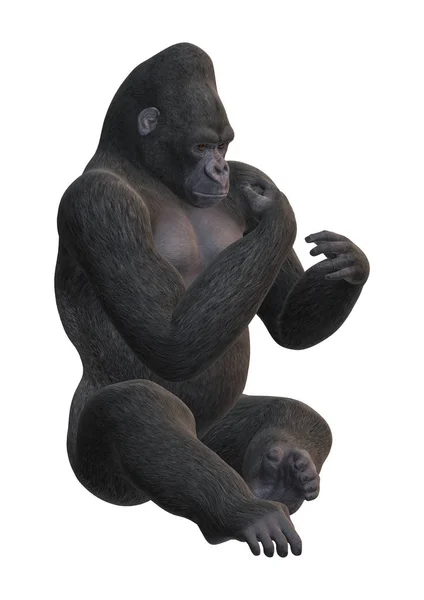 3D Rendering Gorilla auf Weiß — Stockfoto