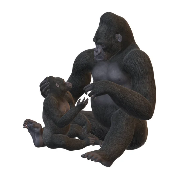 3D rendering gorilla's op wit — Stockfoto