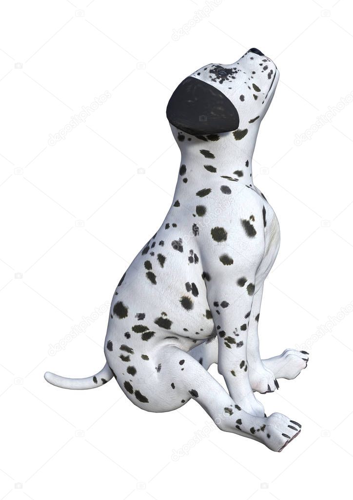 3D Rendering Dalmatian Puppy on White