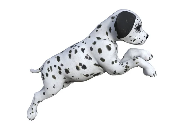 3D rendering dalmatiska valp på vit — Stockfoto