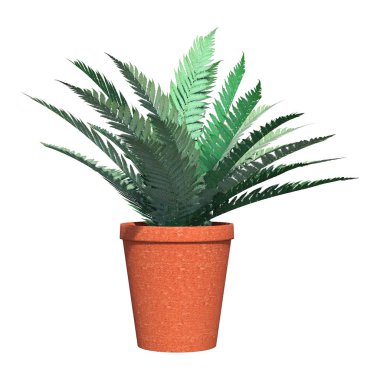 3D render Fern beyaz üzerine kırmızı tencerede