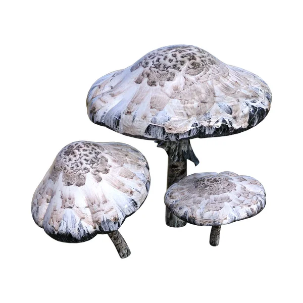 3D Rendering Poisonous Mushrooms on White — Stock Photo, Image