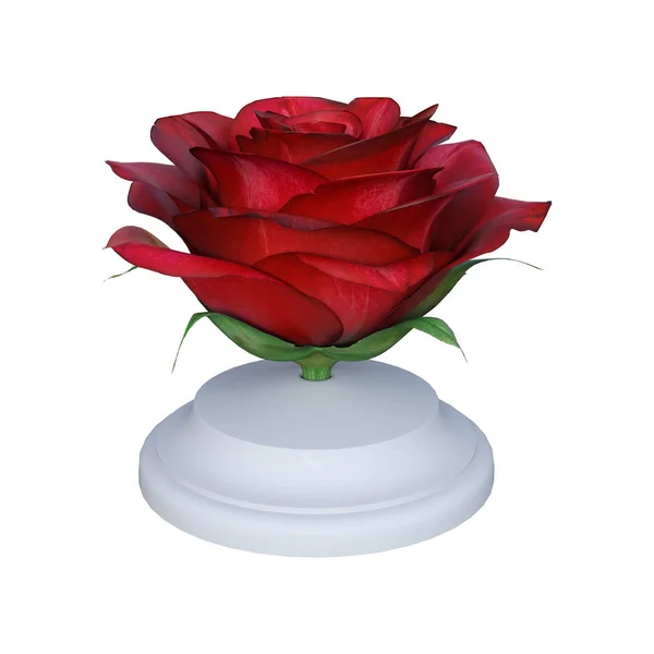 Rendu 3D Rose Rouge sur Blanc — Photo