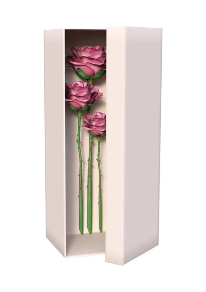 3D Rendering Roses in Box on White — Stock Photo, Image