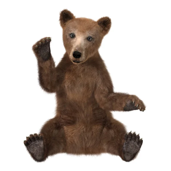 3D rendering barna medve Cub-fehér — Stock Fotó