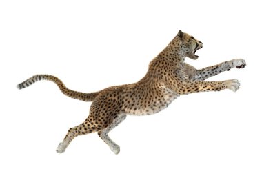 3D render büyük kedi Cheetah beyaz