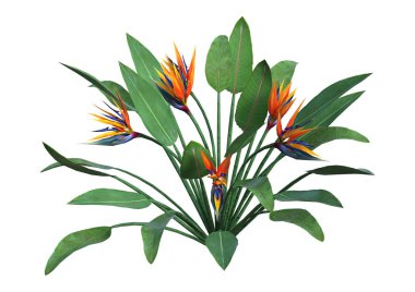 3D render STERLİÇYA beyaz