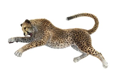 3D render büyük kedi Cheetah beyaz