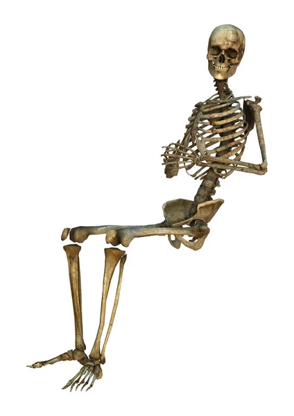 3D рендерингу людського скелета на білому — стокове фото