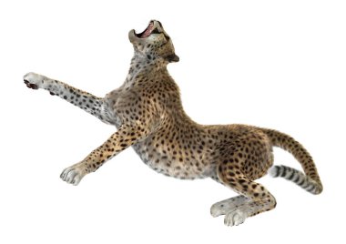 3D render büyük kedi Cheetah beyaz