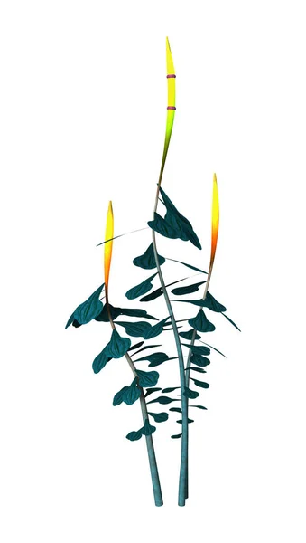 白の 3 d レンダリングの外来植物 — ストック写真