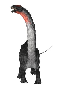 3D render dinozor Apatosaurus beyaz