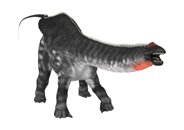 화이트에 3d 렌더링 공룡 Apatosaurus — 스톡 사진