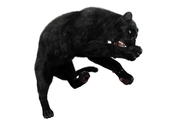 3D Rendering Black Panther auf Weiß — Stockfoto