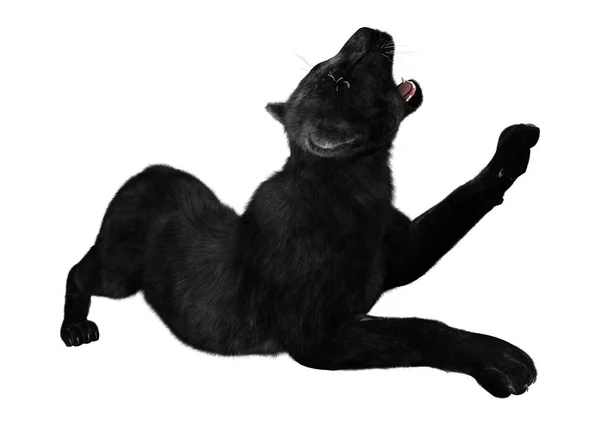 Representación 3D Pantera Negra en Blanco —  Fotos de Stock