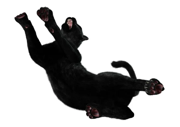 3D Rendering Black Panther บนสีขาว — ภาพถ่ายสต็อก