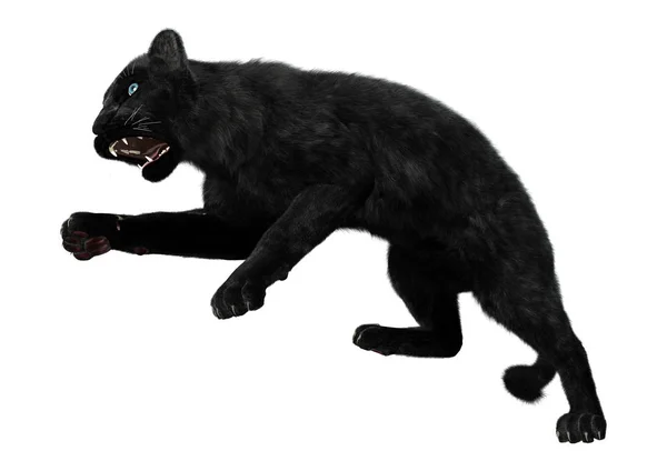 3D Rendering Black Panther auf Weiß — Stockfoto