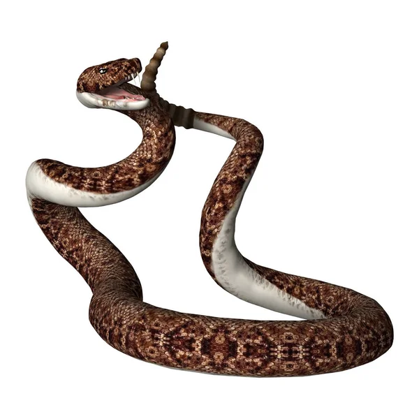 白の 3 d のレンダリングのガラガラヘビ — ストック写真